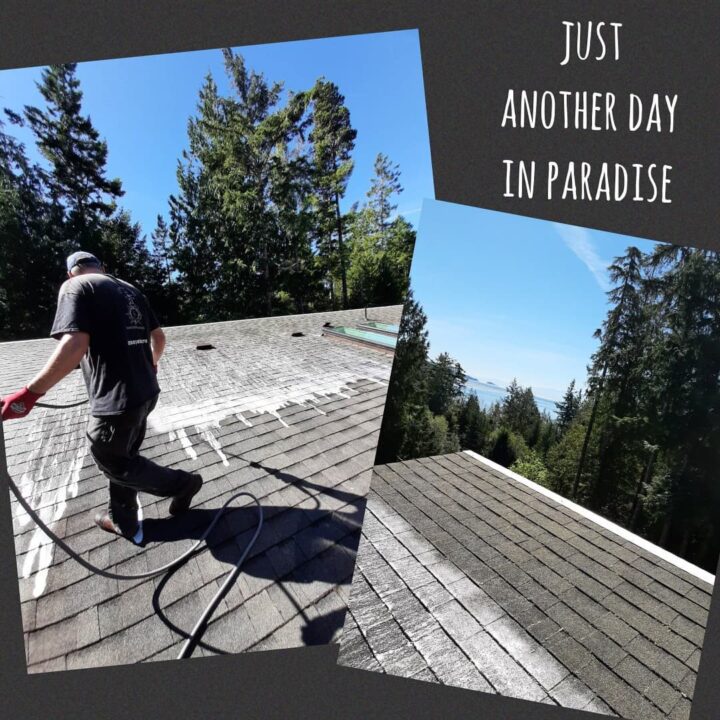 Exterior Roof cleaning Experts in Victoria