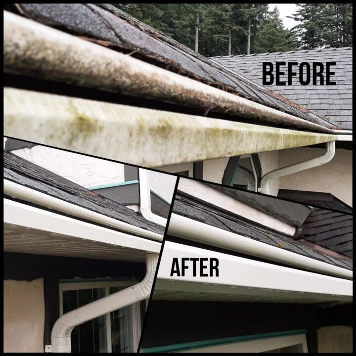gutter cleaning company in the greater Victoria area
