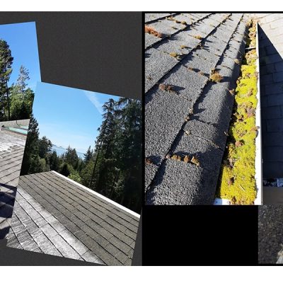 Coastal Shores Window cleaning in Victoria B.C. We Offer Gutter Cleaning Pressure washing roof cleaning roof demossing moss removal house washing and siding cleaning