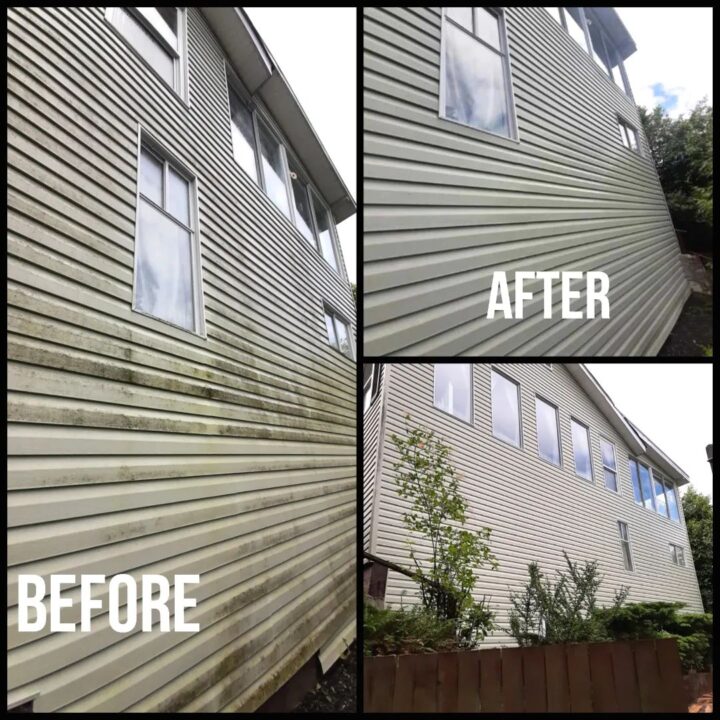 Siding Cleaning Company in Victoria B.C.