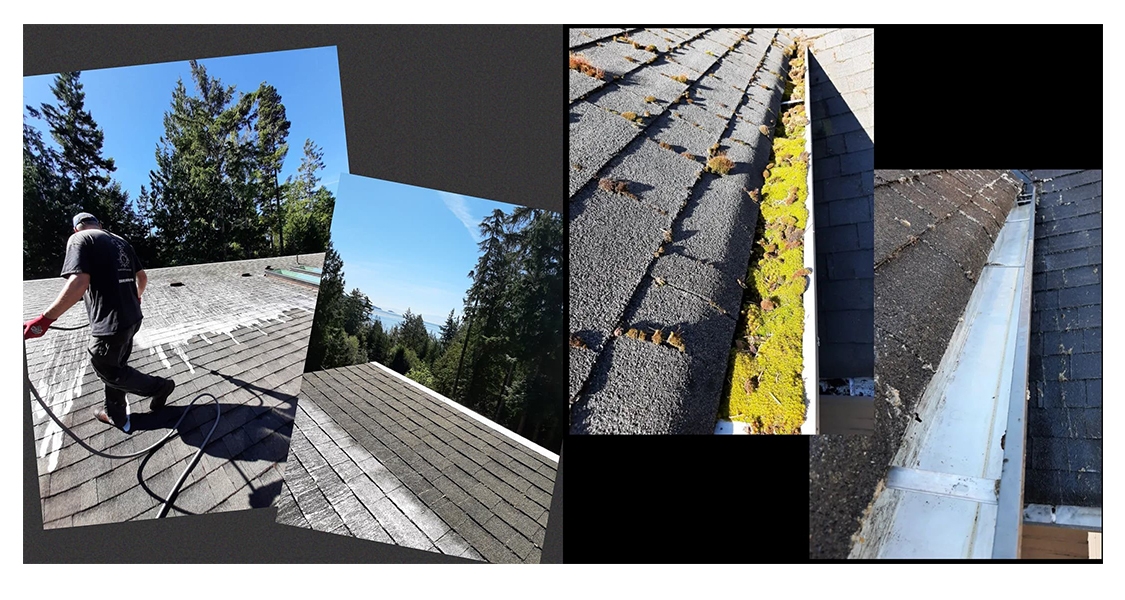 Coastal Shores Window cleaning in Victoria B.C. We Offer Gutter Cleaning Pressure washing roof cleaning roof demossing moss removal house washing and siding cleaning