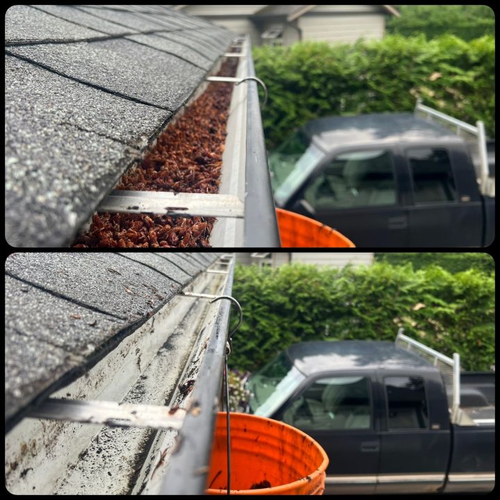 Before and after gutter cleaning