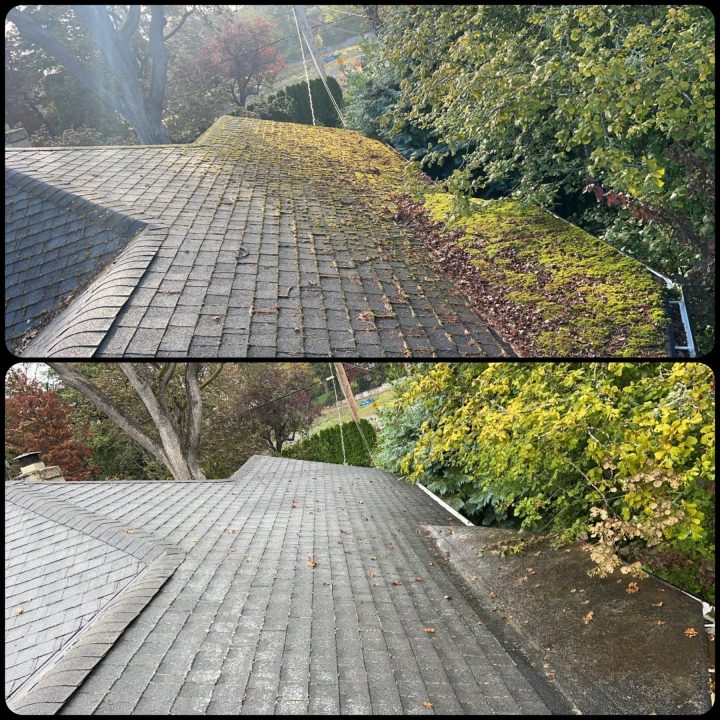 Before/after roof moss removal images from a job done in September 2024.