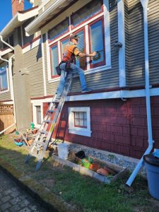 Window Cleaning