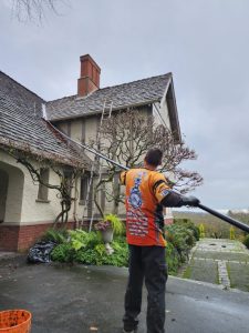 Roof Cleaning