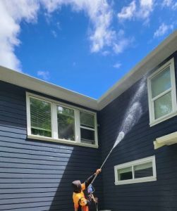 Siding Cleaning