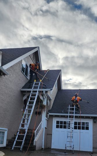 Roof demossing