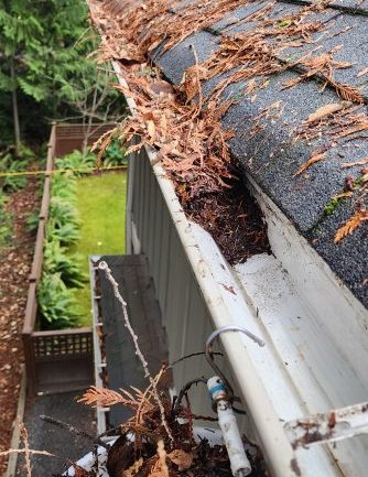 What's in your gutters?