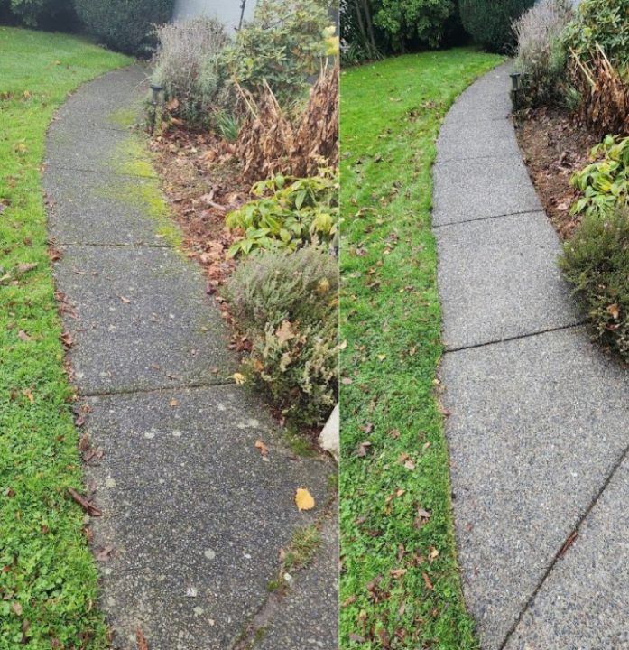 Moss removal on the walkway