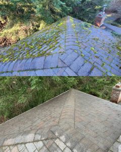 Before/after roof moss removal