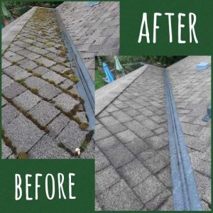 Moss removal by Coastal Shores Window Cleaning