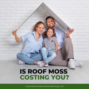 Why Victoria Homeowners Can’t Ignore Roof Moss (hint: it involves your warranty)