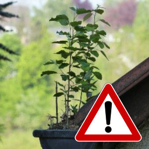 Why DIY Gutter Cleaning is Dangerous