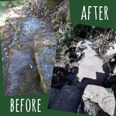 Moss Removal For Your Property in Victoria